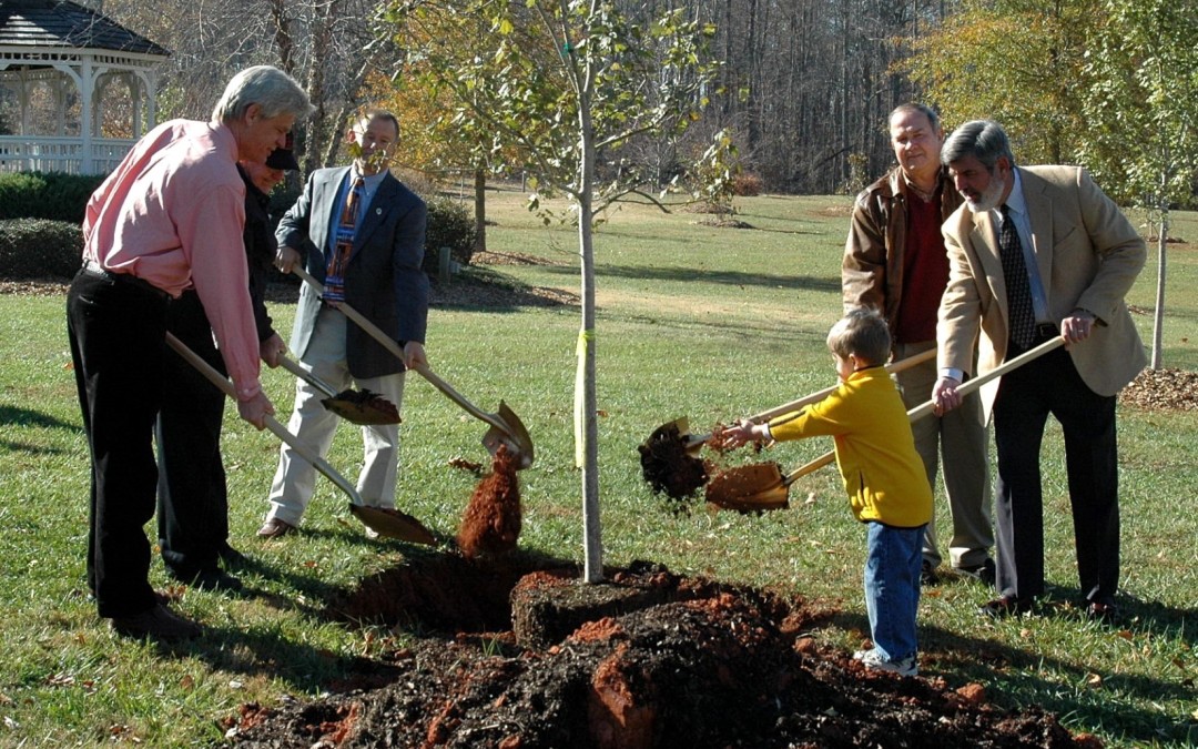 The Dale Earnhardt Forest